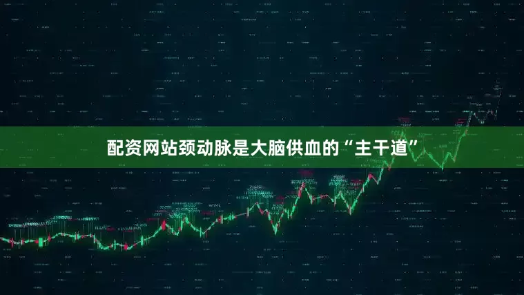 配资网站颈动脉是大脑供血的“主干道”