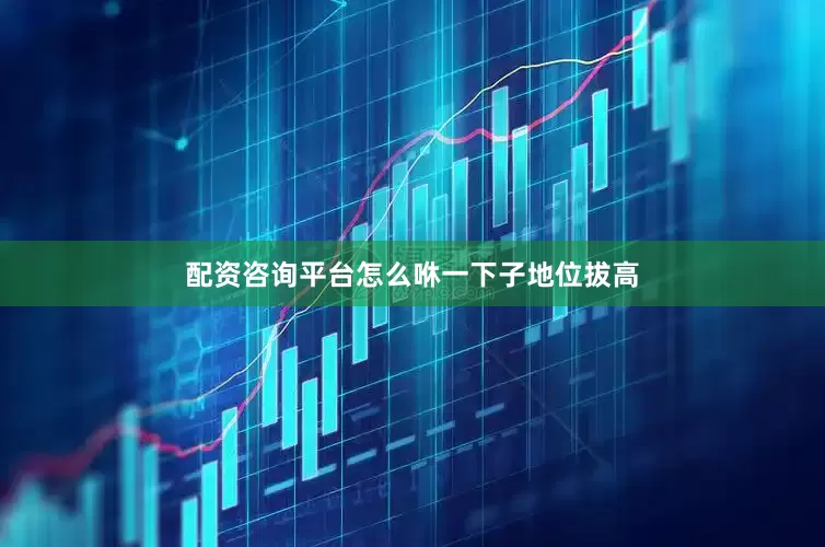 配资咨询平台怎么咻一下子地位拔高