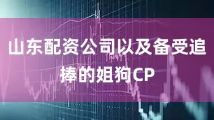 山东配资公司以及备受追捧的姐狗CP