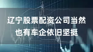 辽宁股票配资公司当然也有车企依旧坚挺