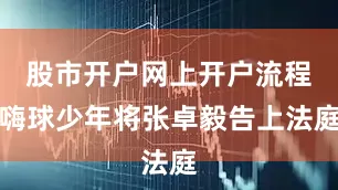 股市开户网上开户流程嗨球少年将张卓毅告上法庭
